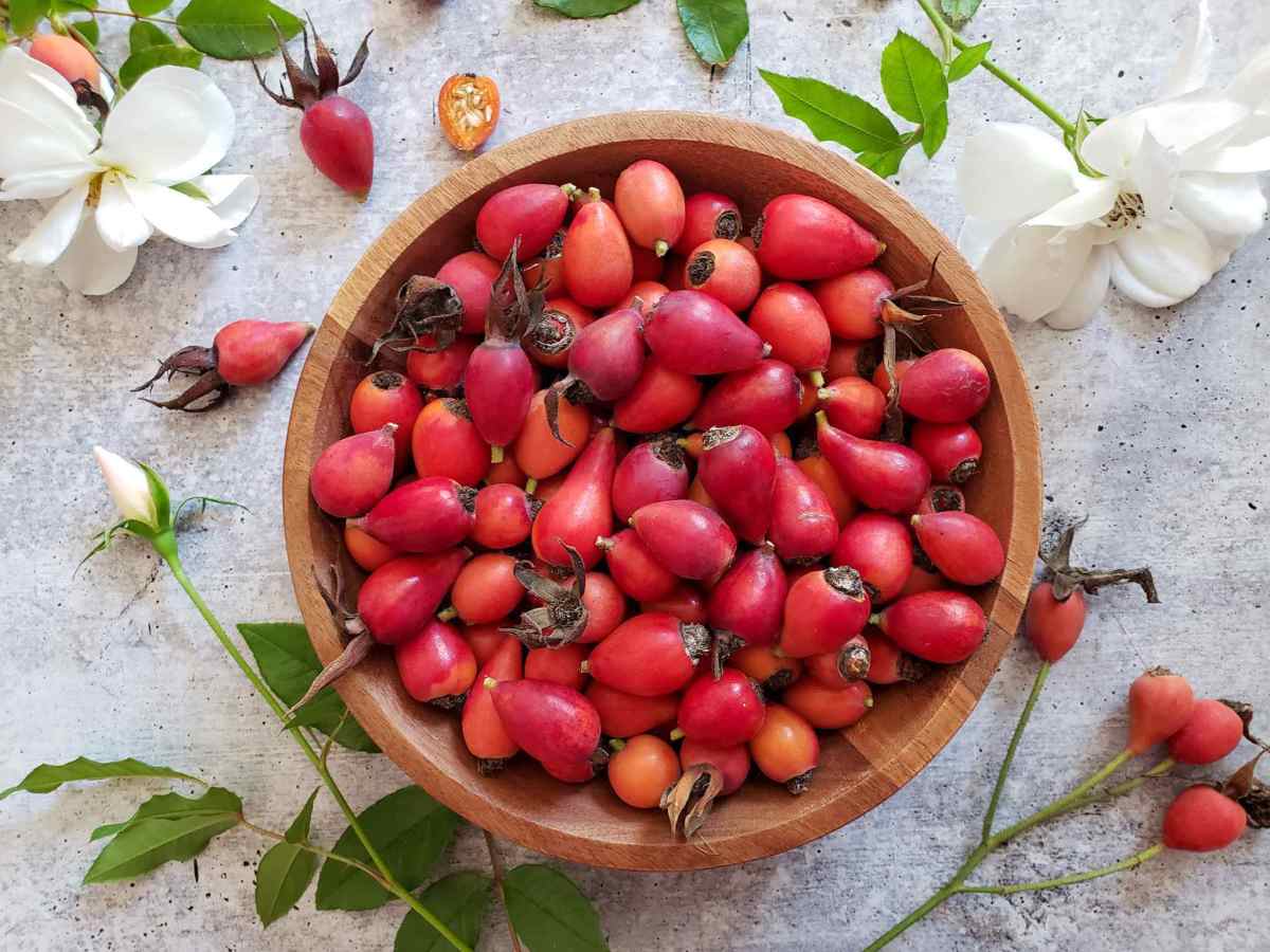 Rose Hip Tea for Treating Eczema: a natural&nbsp;approach